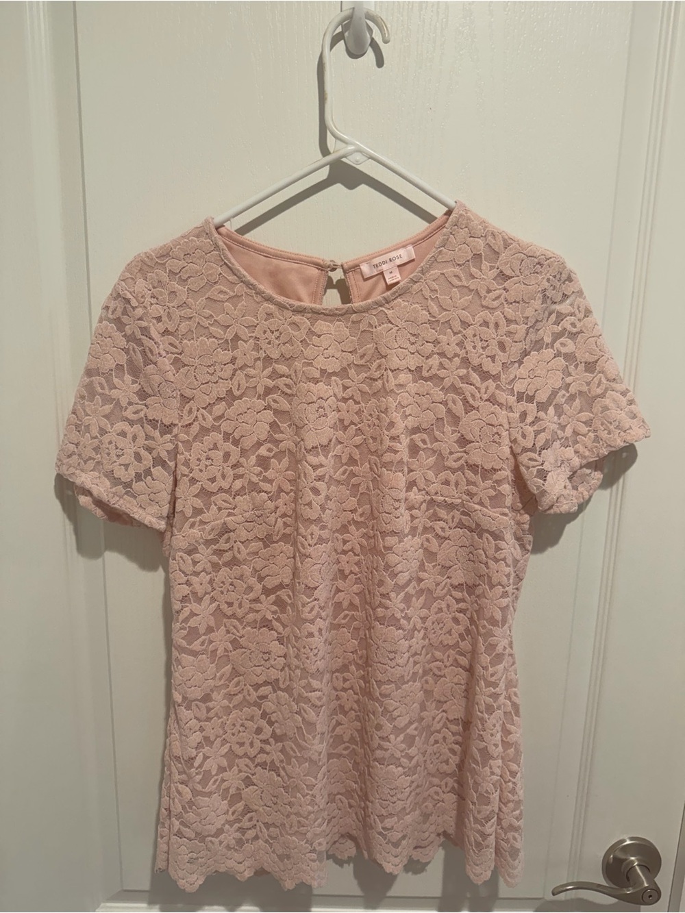 Teddy Rose Blush Pink Floral Lace Short Sleeve Blouse